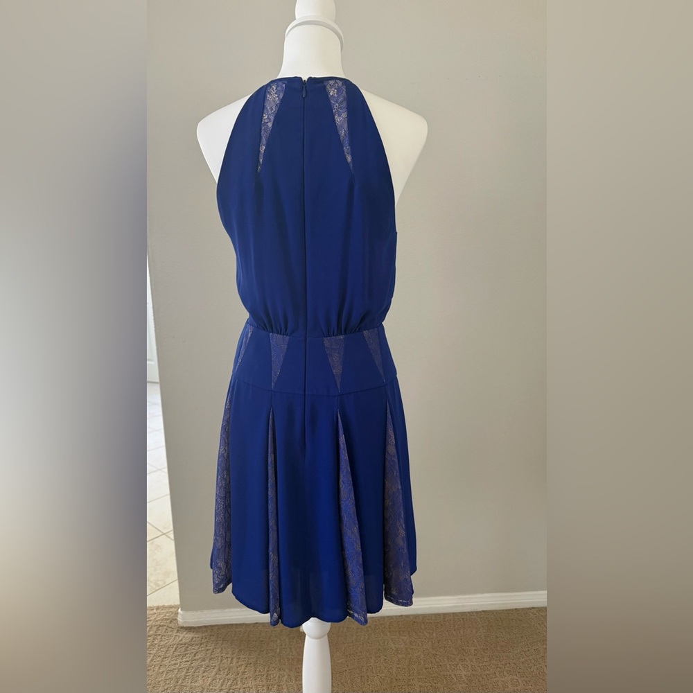 BCBGMaxAzria Royal Blue by Lace Mini Dress - Picture 5 of 6